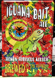 Florida Keys Iguana Bait Florida Keys Iguana Bait