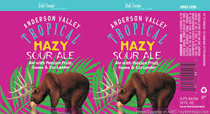 Anderson Valley tropical Hazy Sour